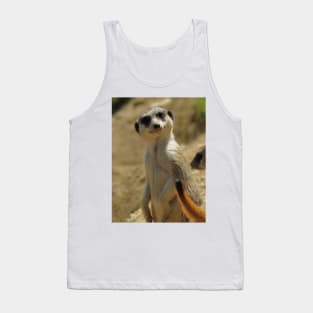 Meerkat at the Zoo Tank Top